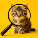 Find and Sort Hidden Objects app